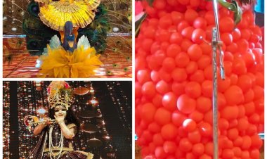 कृष्ण बनो प्रतियोगिता में नीरज गर्ग ने मारी बाजी   रितु हरिओम ने शेक बनाओ प्रतियोगिता की अपने नाम