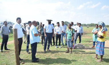 कलेक्टर ने पंडरापाठ के पीएम जनमन योजना के लाभान्वित हितग्राही बुचू राम के भवन का अवलोकन किया      बिजली और शौचालय की भी सुविधा उपलब्ध कराने के निर्देश, बुचूराम अपना खुद का मकान पाकर खुश