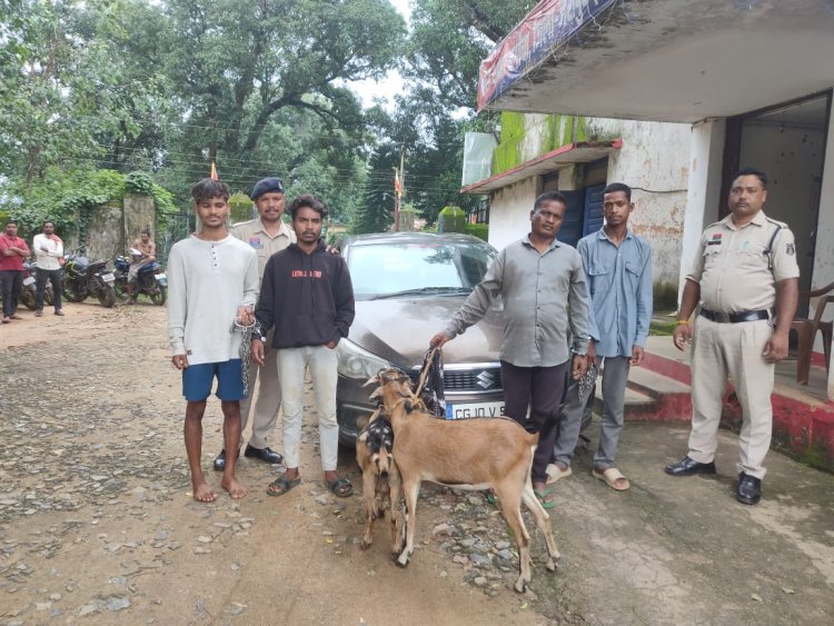 जशपुर पुलिस ने फिल्मी स्टाइल में पीछा कर सरगुजा पुलिस की सहयोग से दरीमा चौक अंबिकापुर से पकड़ा, बकरी चोर गिरोह को,  मामला थाना बगीचा क्षेत्रांतर्गत ग्राम कुहापानी का,  आरोपी कार से, चर रही बकरी को उठा कर ले जाते थे अपने साथ  पुलिस की त्वरित कार्यवाही से चढ़े पुलिस के हत्थे   पुलिस ने तीन बकरी चोर सहित, एक चोरी की बकरी खरीदने वाले को भी किया है गिरफ्तार, चोरों के कब्जे से दो नग को भी किया बरामद