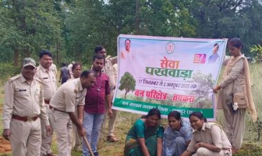 हटाये गये अवैध अतिक्रमण एवं किया गया पौध रोपण 