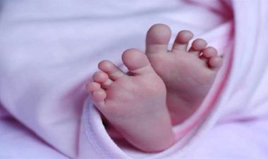 CG : खंडहर में ठंड से कांपती और रोती हुई मिली नवजात बच्ची, अस्पताल में इलाज जारी