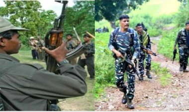 साल 2025 में नक्सलियों को हुआ सबसे बड़ा नुकसान, 11 महीने में मारे गए 320 नक्सली : PLGA