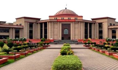 CG : छत्तीसगढ़ में ट्रैफिक नियमों की उड़ रही धज्जियां, हाई कोर्ट ने राज्य सरकार को फटकारा