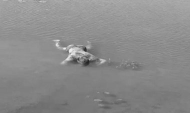 बिलासपुर में पोल्ट्री फार्म संचालक की निर्मम हत्या: तालाब में मिला शव