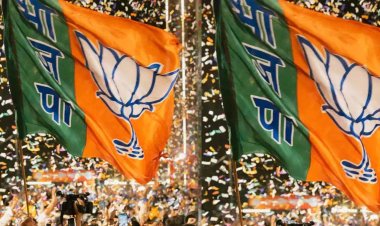 भाजपा ओबीसी मोर्चा में जिलाध्यक्ष की नियुक्ति, प्रदेश कार्यकारिणी भी घोषित, देखिये जंबो सूची