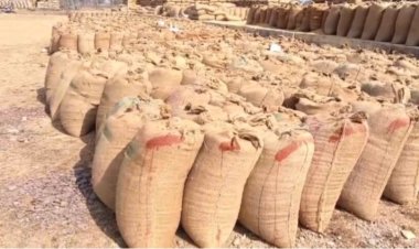 CG : धान कृषि केंद्र में मंडी प्रभारी की लापरवाही, सीधे जमीन पर रखा गया हजारों क्विंटल धान