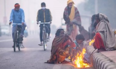यूपी में ठंड का कहर बरकरार! 31 दिसंबर को शीतलहर और घना कोहरा, नए साल पर इन 14 जिलों में बारिश का अलर्ट