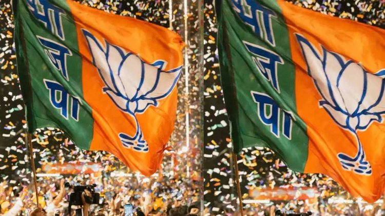 भाजपा ओबीसी मोर्चा में जिलाध्यक्ष की नियुक्ति, प्रदेश कार्यकारिणी भी घोषित, देखिये जंबो सूची