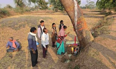 CG – नीम के पेड़ में चमत्कार! अचानक बहने लगी दूध की धारा, पीने के बाद शारीरिक कष्ट दूर होने का दावा, पूजा-पाठ करने वालों की लगी होड़…..