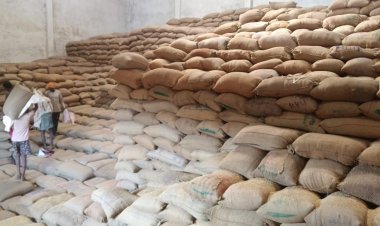 भ्रामक है एक ही गाड़ी से एक से अधिक बार धान के उठाव का दावा, राइस मिलर ने उठाए सवाल, कहा जांच में सही पाई गई धान की मात्रा