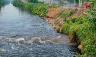 राज्य सरकार ने छह प्रमुख नदियों में गिर रहे नाले के गंदे पानी को लेकर प्रदेश के सभी नगरीय निकायों से जवाब-तलब किया
