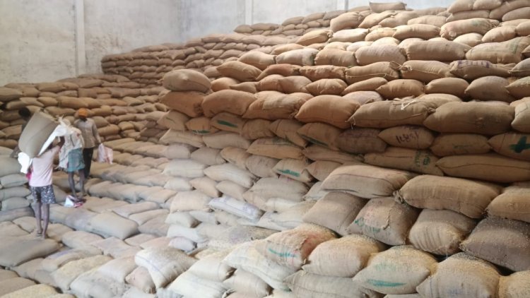 भ्रामक है एक ही गाड़ी से एक से अधिक बार धान के उठाव का दावा, राइस मिलर ने उठाए सवाल, कहा जांच में सही पाई गई धान की मात्रा