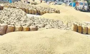 धान खरीदी में बड़ी राहत: किसानों को 5–6 फरवरी तक अतिरिक्त मौका
