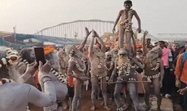 महाशिवरात्रि पर राजिम कुंभ का भव्य समापन, शाही स्नान और विशाल शोभायात्रा का होगा आयोजन