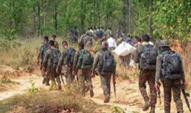 छत्तीसगढ़ के बस्तर में तीन जिले ही नक्सल प्रभावित शेष नक्सल मुक्त घोषित